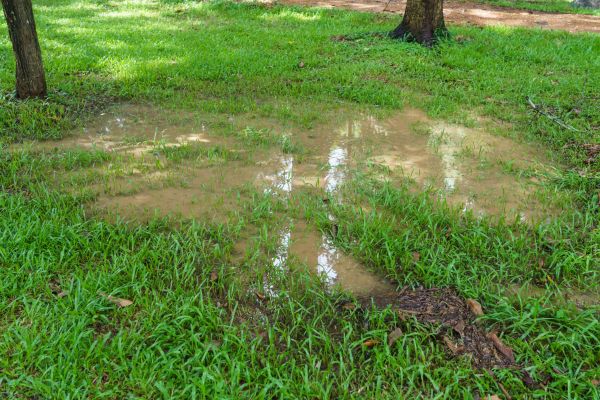 Cost of Storm Water Drainage Service in Rochester