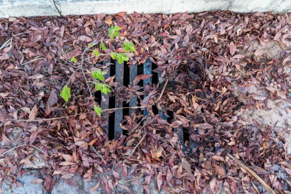 Cost of Yard Drain Unclogging in Rochester