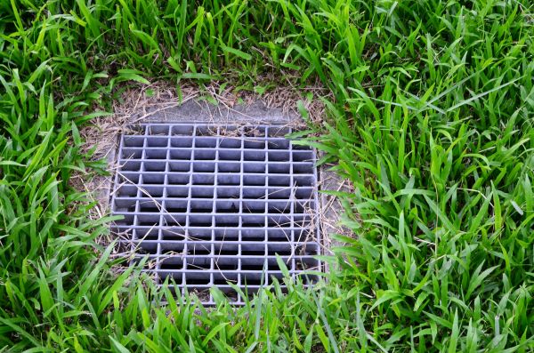 Cost of Yard Water Drainage in Rochester