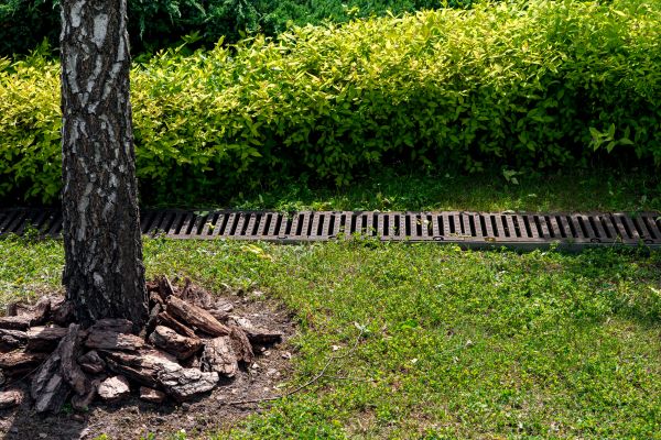 Cost of Yard Water Redirection in Rochester