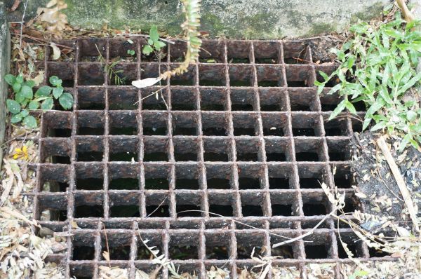 Cost of Yard Drain Cleaning in Rochester