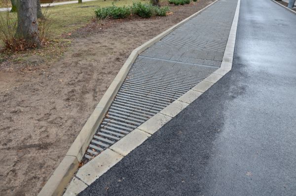 Cost of Muddy Yard Drainage in Rochester