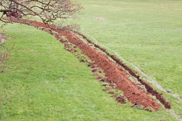 Cost of Swale Installation in Rochester