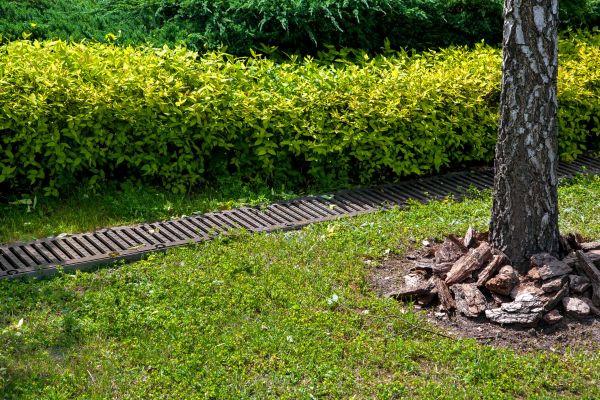 Cost of Residential Landscape Drainage in Rochester