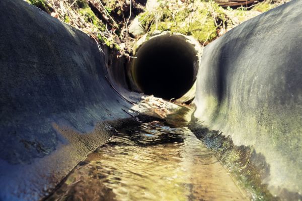 Cost of Drainage Swale Installation in Rochester