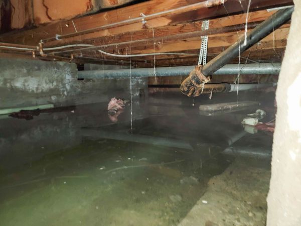Cost of Crawlspace Drainage in Rochester