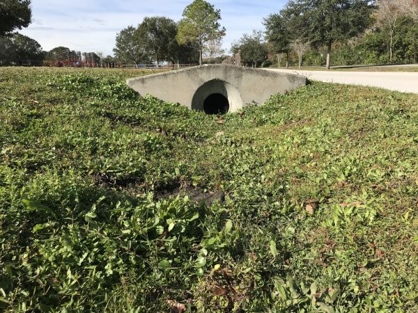 Cost of Swale Drainage Service in Rochester