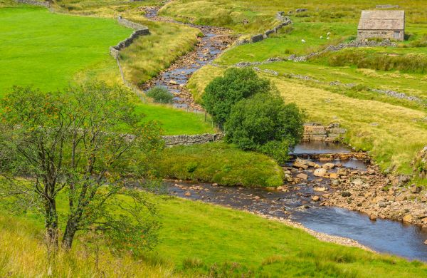 Cost of Swale Repair in Rochester